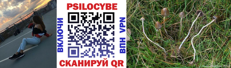 hydra как войти  Шали  Псилоцибиновые грибы прущие грибы  купить  