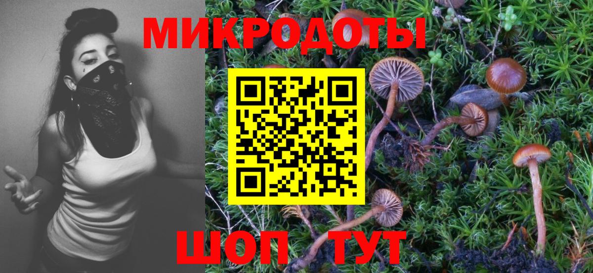 Шали  Галлюциногенные грибы MAGIC MUSHROOMS  Вход с VPN 