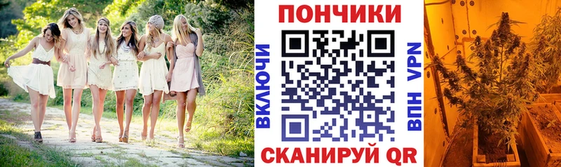 Конопля Bruce Banner  цена   Шали 